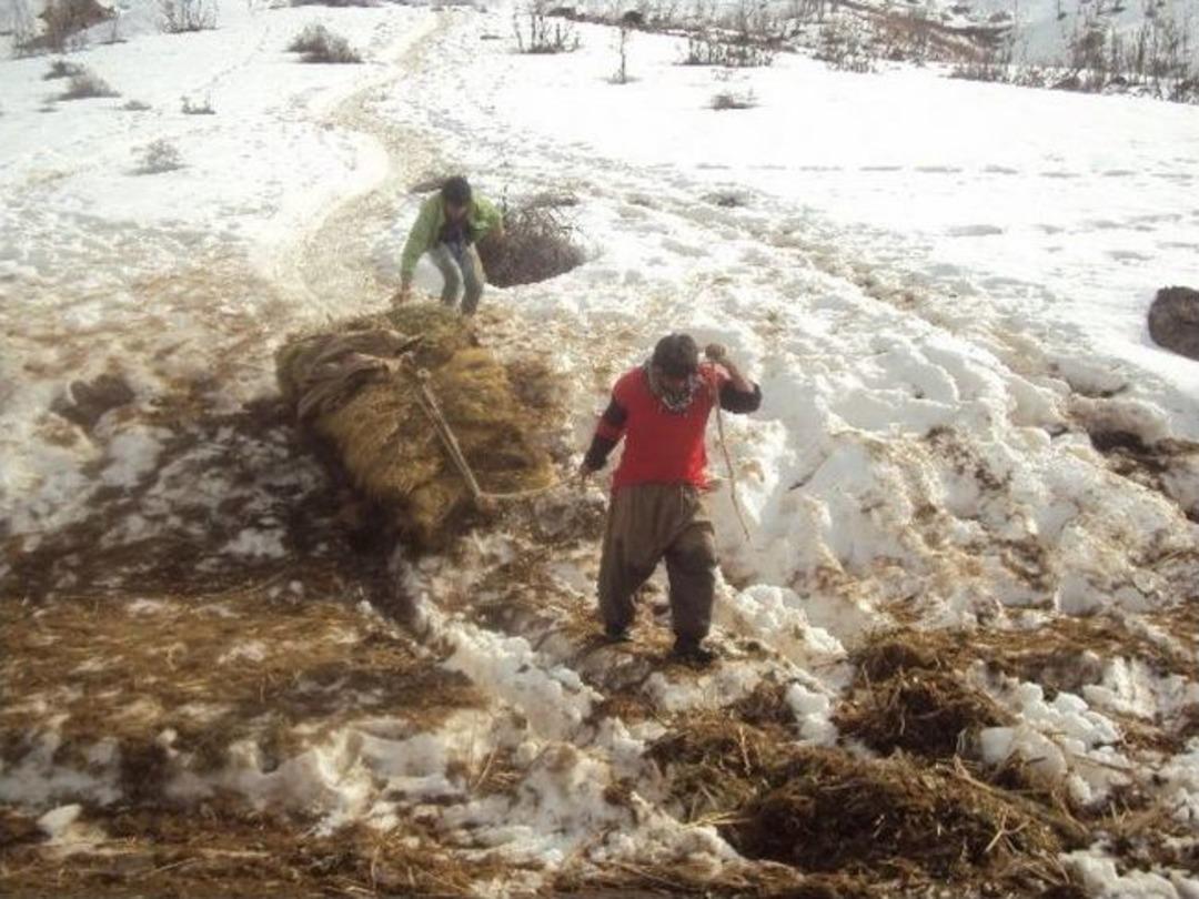 K&ouml;yl&uuml;lerin Kış &Ccedil;ilesi