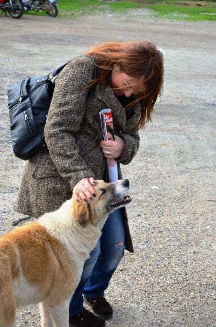 (özel Haber) Sokak Hayvanları İçin İmamlardan Vaaz İstiyorlar G5