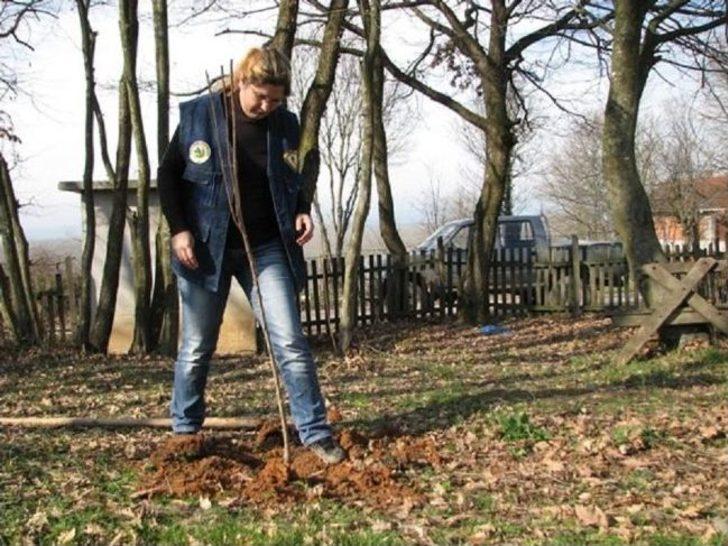 Orman Genel Müdürlüğü'nden Örnek Proje G3