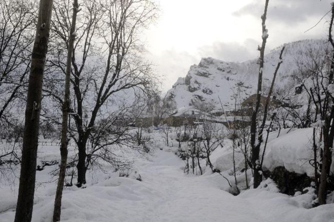 Kar, Meyve Ağa&ccedil;larına Zarar Verdi
