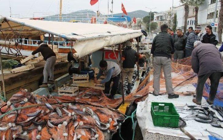 Foçalı Balıkçıların Yüzü 'palamut' İle Güldü G2