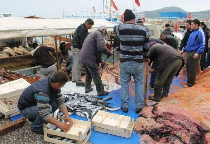 Foçalı Balıkçıların Yüzü 'palamut' İle Güldü G3