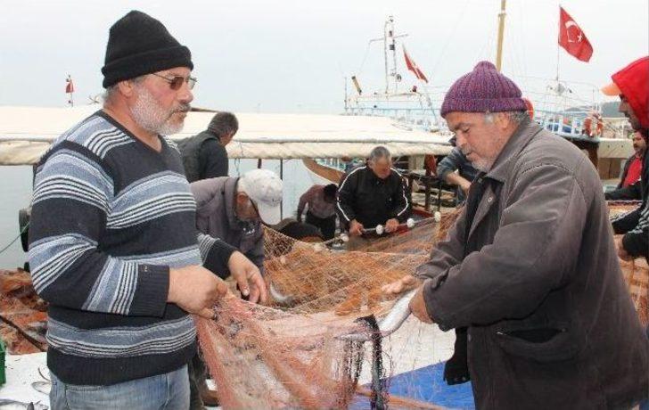 Foçalı Balıkçıların Yüzü 'palamut' İle Güldü G4