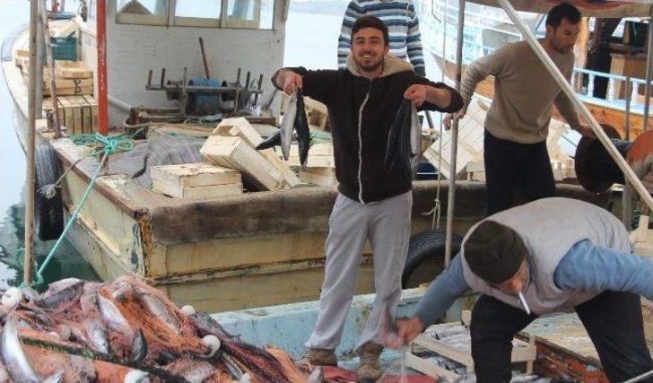 Foçalı Balıkçıların Yüzü 'palamut' İle Güldü G5