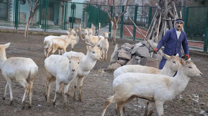Sincan Evcil Hayvanlar Parkı Ziyaret&ccedil;ilerini Bekliyor