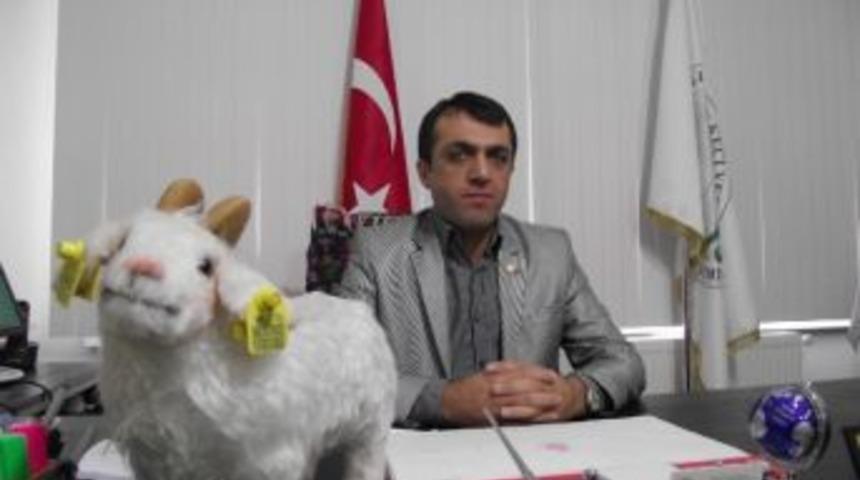 Malatya&rsquo;da 53 K&uuml;&ccedil;&uuml;kbaş Hayvanın Telef Olması