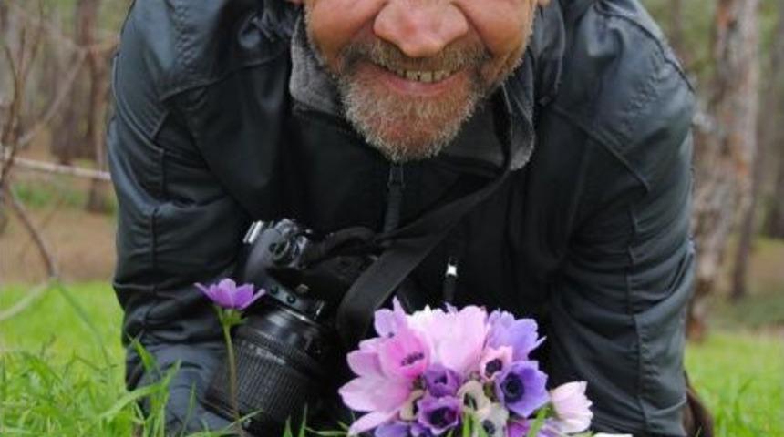 Baharın M&uuml;jdecisi Dağ Laleleri Y&uuml;z&uuml;n&uuml; G&ouml;sterdi