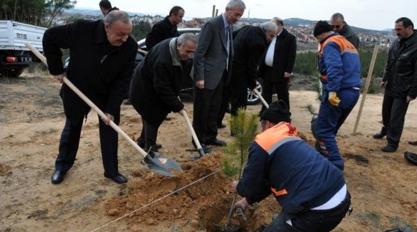 Kastamonu Belediyesi Ağaçlandırma Sezonunu Açtı