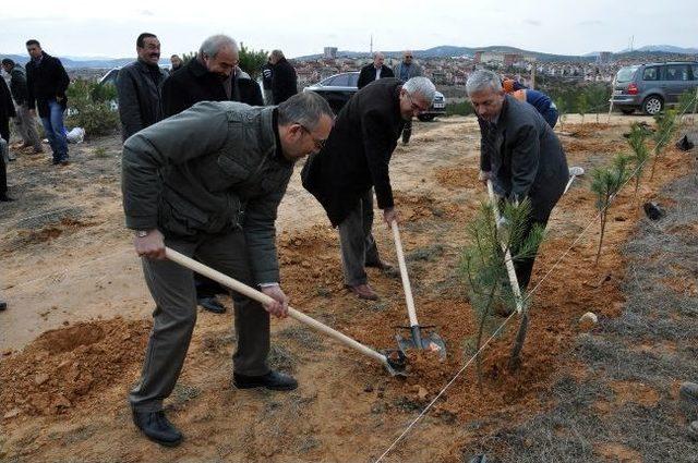 Kastamonu Belediyesi Ağaçlandırma Sezonunu Açtı