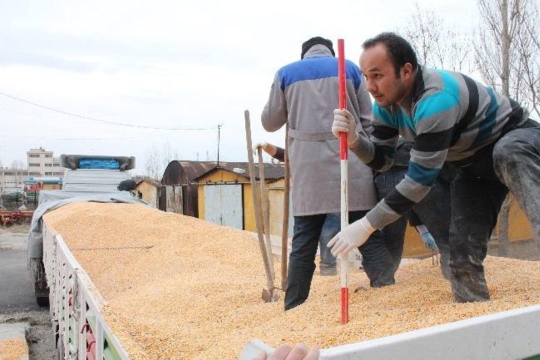 Mısır Y&uuml;kl&uuml; 2 Tır'dan 45 Bin Paket Ka&ccedil;ak Sigara &Ccedil;ıktı