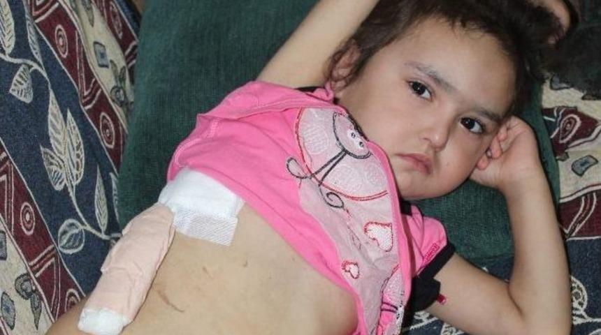 Minik Fatma Yardım Bekliyor