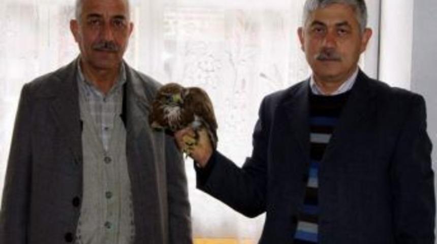 Av Sezonu Kapanıyor