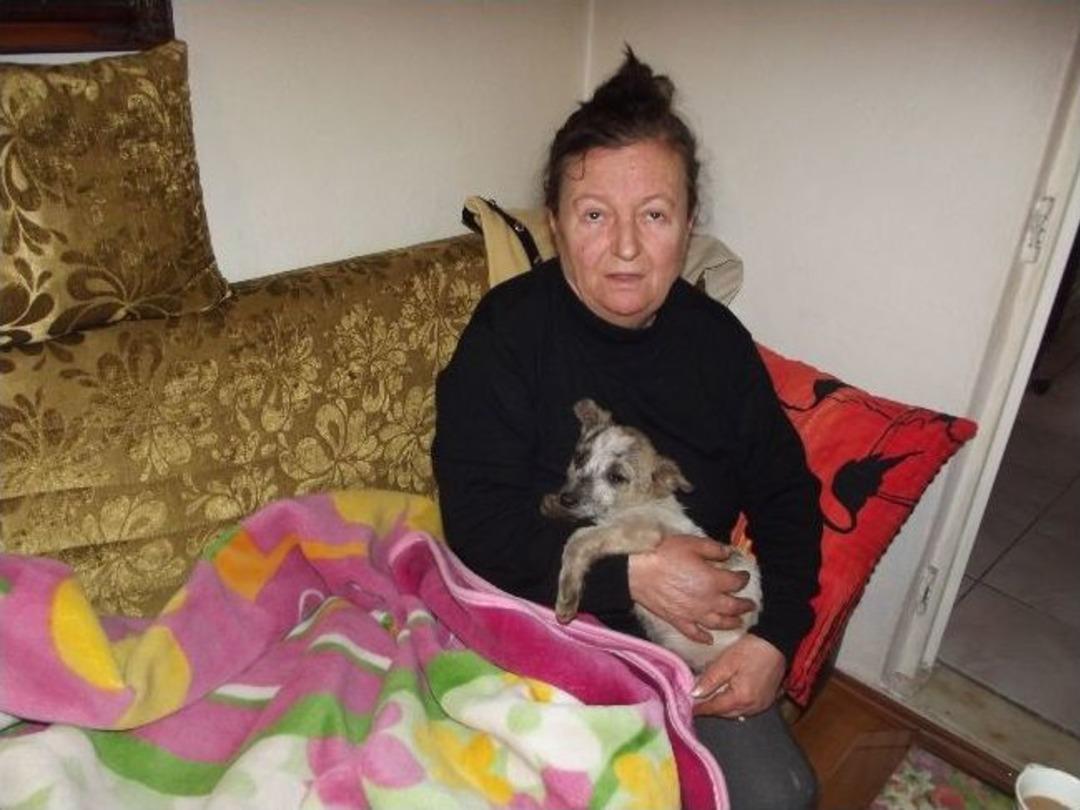 Şark&ouml;y Belediyesi K&ouml;pek Barınağı G&ouml;revlisinin Yaşlı Kadını D&ouml;vd&uuml;ğ&uuml; İddia Edildi