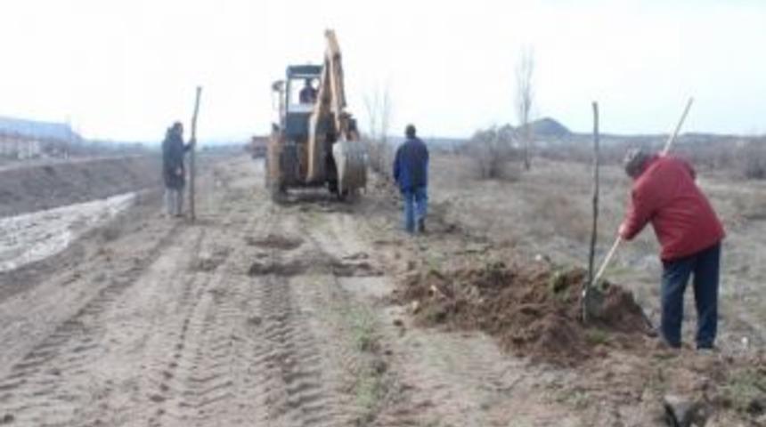 Avanos&rsquo;da Matcan Deresi Boyunca Ağa&ccedil;landırma &Ccedil;alışmalarına Başlandı