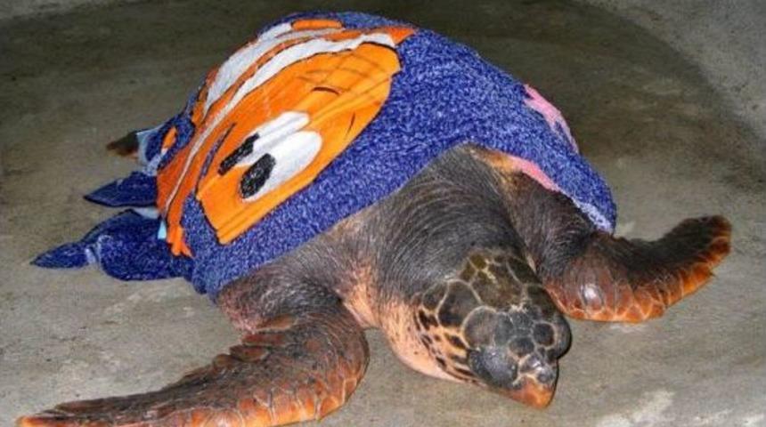 Orman Ve Su İşleri Bakanlığı, Yaralı Bin 92 Yabani Hayvanı Tedavi Ettirdi