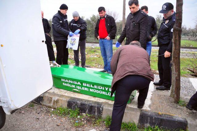 Okula giderken trenin altında kaldı