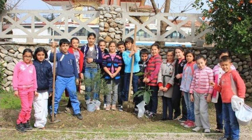 Tekirova&rsquo;da &Ouml;ğrenciler Okul Bah&ccedil;esine Fidan Dikti