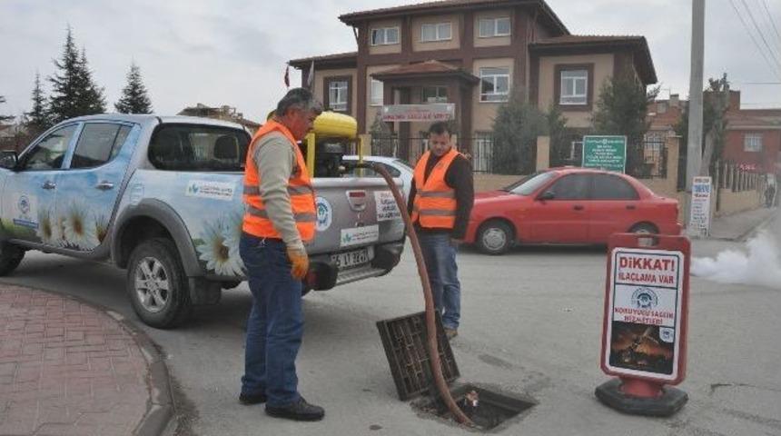 Odunpazarı'nda Haşereyle M&uuml;cadele