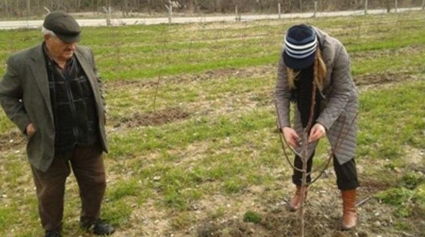 &Ccedil;ift&ccedil;ilere, Meyve Ağacı Budama Teknikleri G&ouml;sterildi
