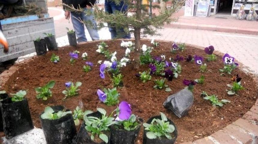 G&ouml;lbaşı Belediyesi Ref&uuml;jleri &Ccedil;i&ccedil;eklendiriyor