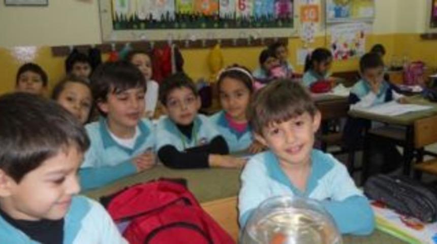 Minik &ouml;ğrencilerin hayvan sevgisi