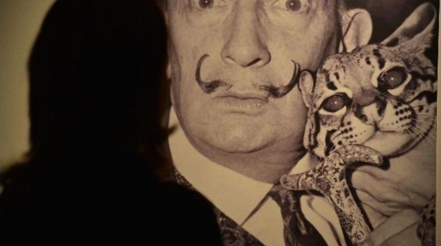 Dali İ&ccedil;in Son Fırsat