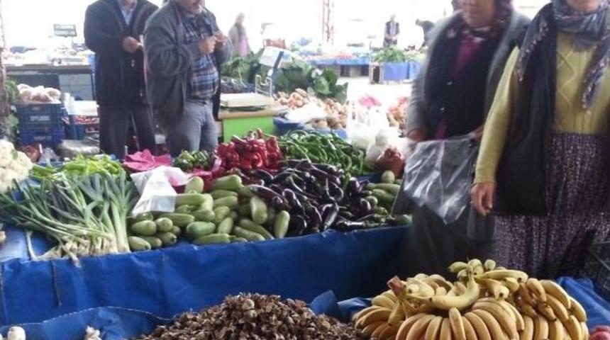 Mut&rsquo;ta &Ccedil;ukur &Ccedil;anak Mantarı Ge&ccedil;im Kaynağı Oldu