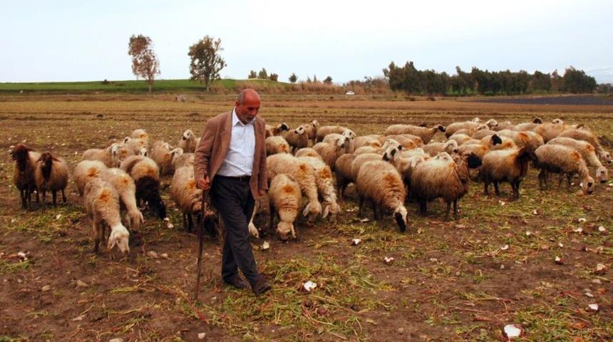 G&uuml;nd&uuml;z &Ccedil;oban Gece Sanat&ccedil;ı