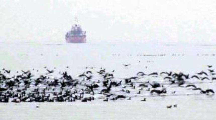 Spor Yapan İstanbullulara 'karabatak' S&uuml;rprizi