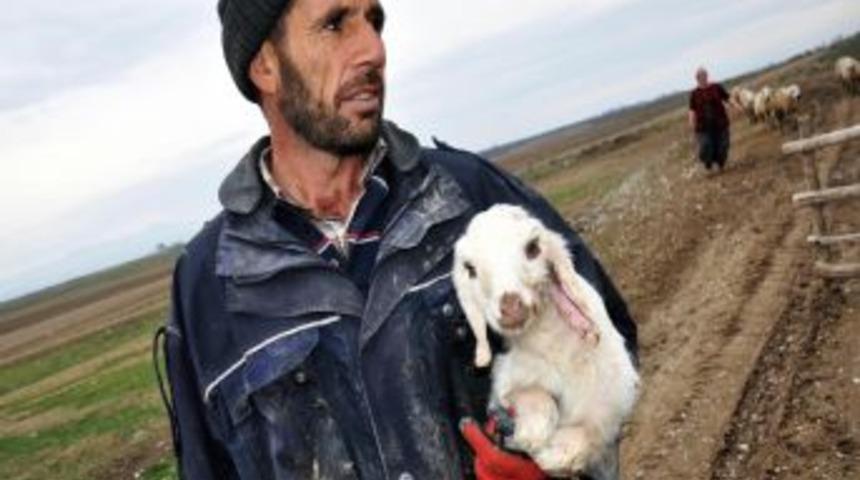 &Ccedil;obanlar Sosyal G&uuml;venceye Kavuşuyor