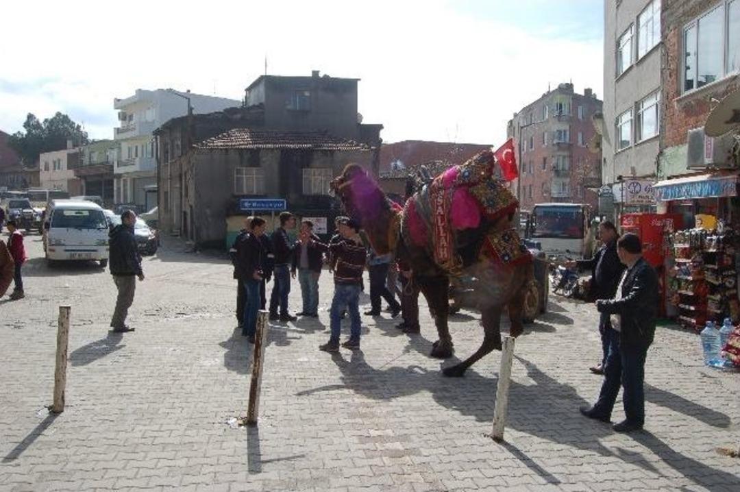 &Ccedil;anakkale'de Develer Halk Pazarına İndi