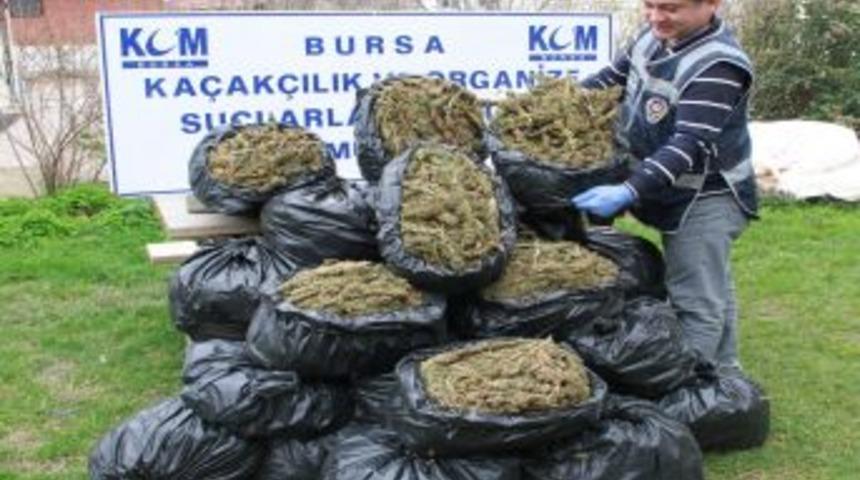 Yastıklara Gizlenen 63 Kilogram Esrar Ele Ge&ccedil;irildi