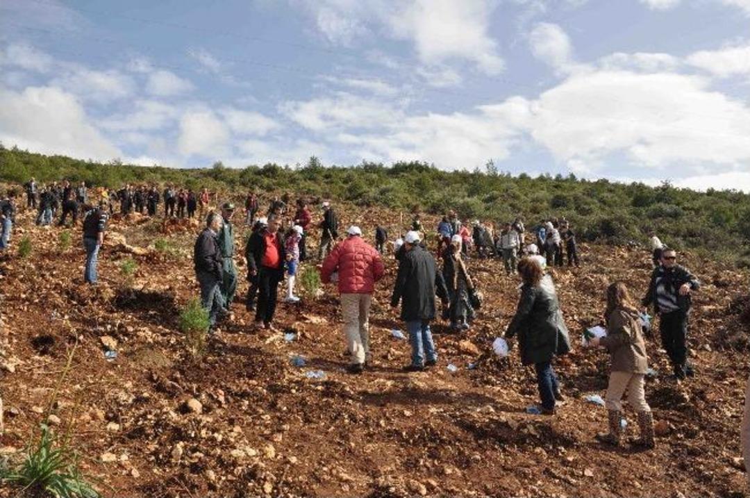 Kuşadalı Otelcilerden Hatıra Ormanı