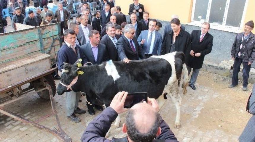 Derbent&rsquo;te K&ouml;yl&uuml;lere Hayvancılık Desteği