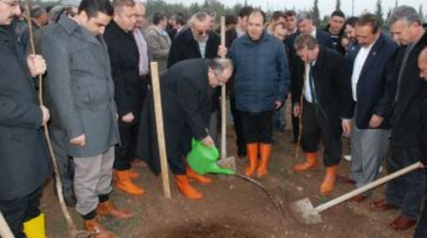 "Ceviz Eylem Planına &Ccedil;orum Milletvekillerinden Destek