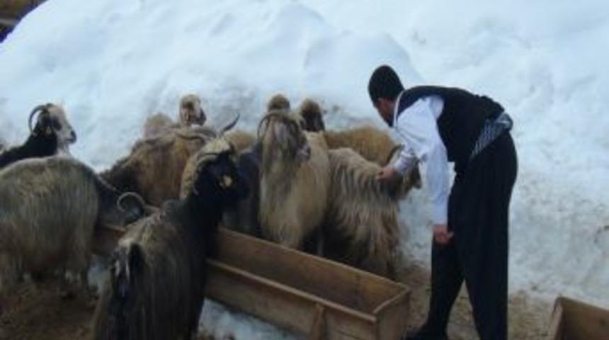Bitlis&rsquo;in Karını Sahneye Taşıdılar