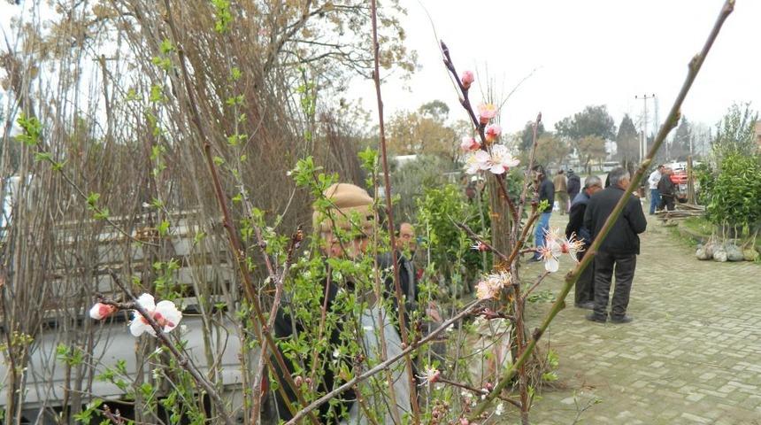 &Ouml;demiş'te Fidan Dikimi Hızlandı