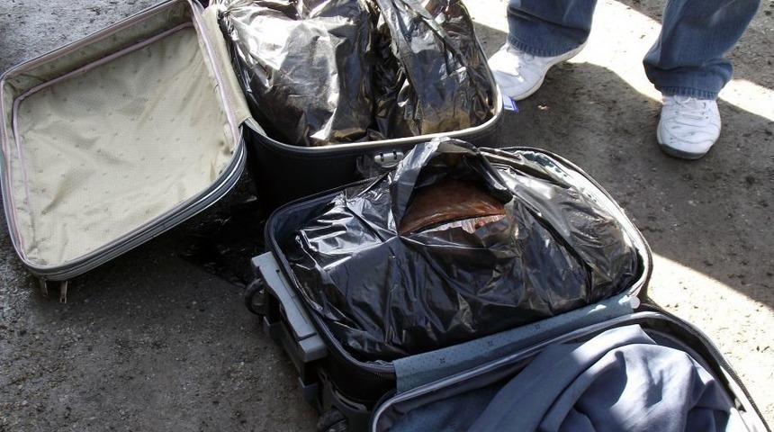 Narkotik K&ouml;peği Tora Uyuşturucuya Ge&ccedil;it Vermiyor