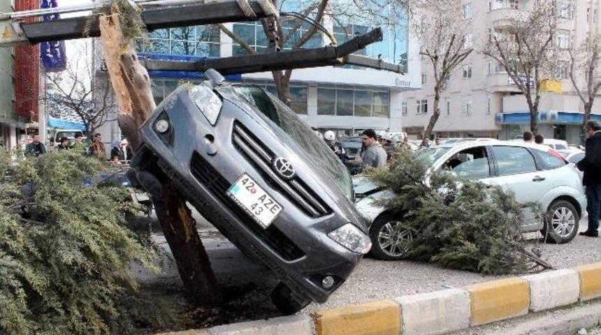 Kontrolden &Ccedil;ıkan Otomobil Ağa&ccedil;ta Asılı Kaldı