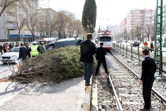 Kontrolden Çıkan Otomobil Ağaçta Asılı Kaldı