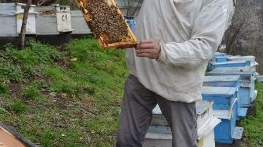 Yalancı Bahar Arıcıların Y&uuml;z&uuml;n&uuml; G&uuml;ld&uuml;rd&uuml;