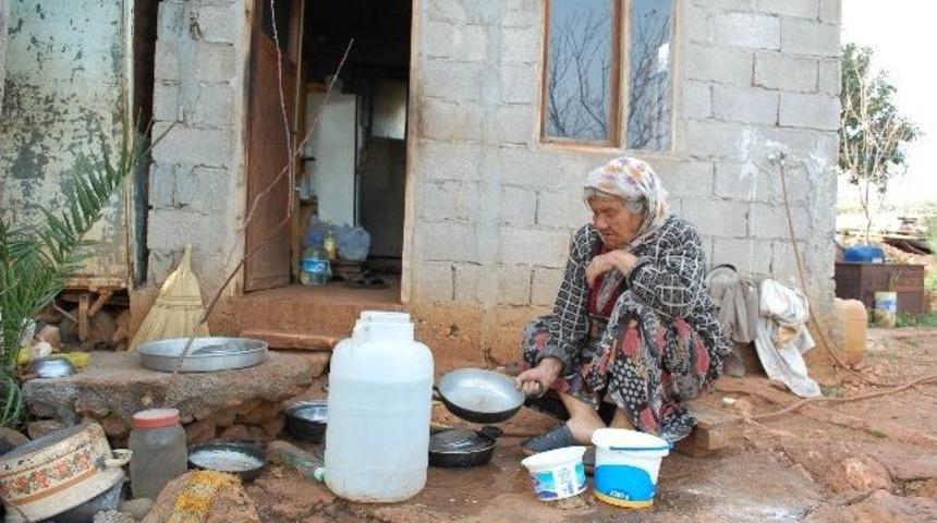 Yaşlı Kadının Tek Odalı Evde Yaşam M&uuml;cadelesi