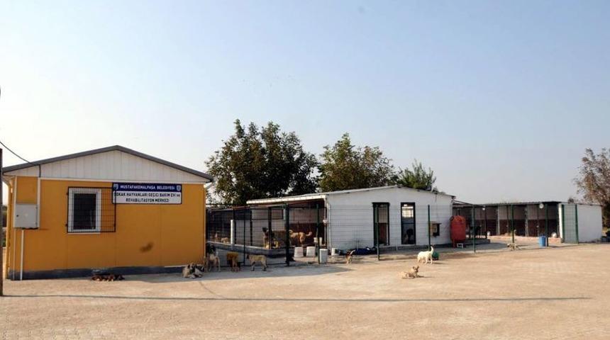 Mustafakemalpaşa’da Sahipsiz Hayvanlara Yeni Bir Yuva