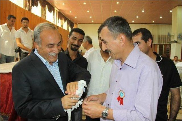 Şanlıurfa Belediye Başkanı Fakıbaba'dan Değerlendirmeler