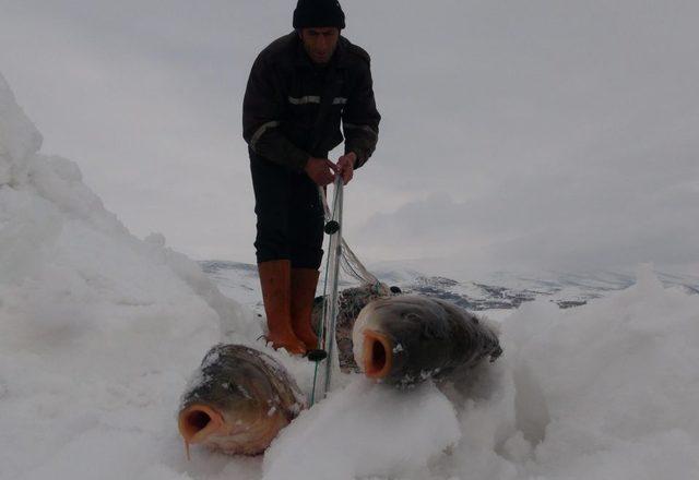 Eksi 15 Derecede ‘Eskimo Usulü’ Balık Avı