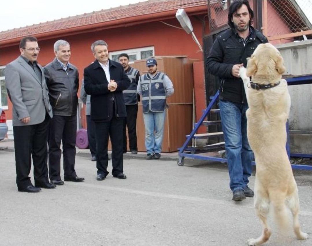 &lsquo;bingo&rsquo;lara Takdir