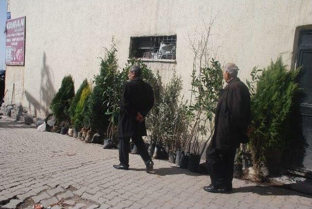 Şırnaklı Vatandaşlardan Fidanlara Yoğun İlgi