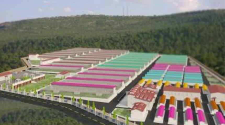 Antalya'da 150 Bin Metrekarelik Alana Hayvan Bakımevi Kurulacak