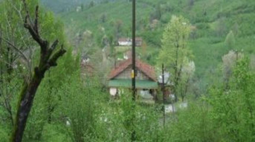 Didim Malm&uuml;d&uuml;rl&uuml;ğ&uuml;&rsquo;nden 2/b Arazileri İ&ccedil;in Son Başvuru Uyarısı