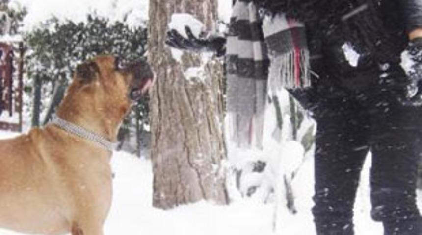 &Uuml;nl&uuml;lerin kar keyfi!